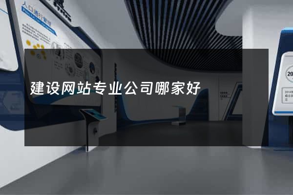 建设网站专业公司哪家好