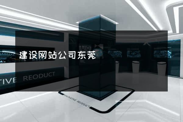 建设网站公司东莞