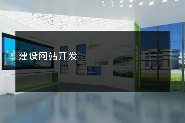 建设网站开发