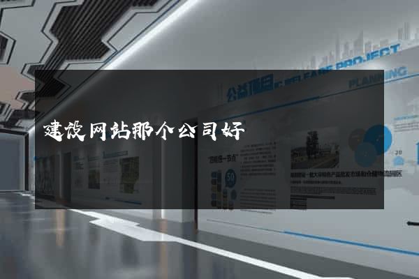 建设网站那个公司好