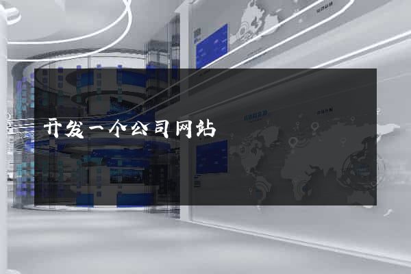开发一个公司网站