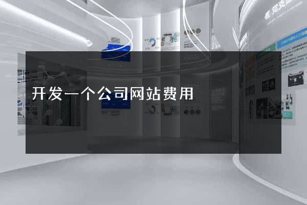 开发一个公司网站费用