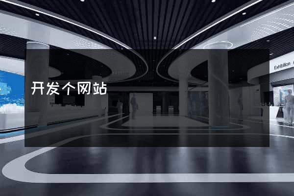 开发个网站
