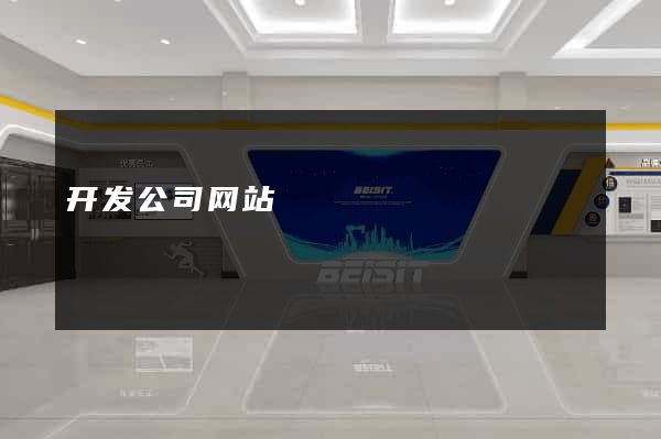 开发公司网站