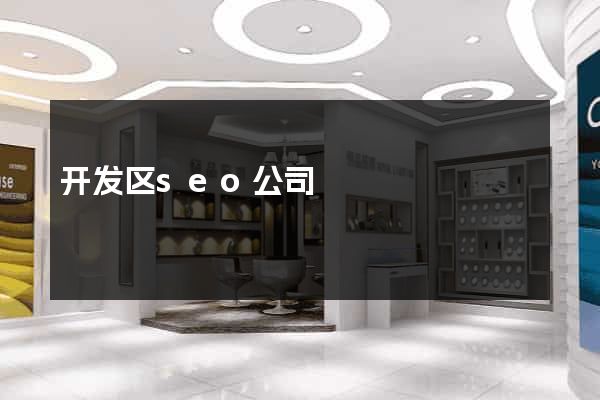 开发区seo公司