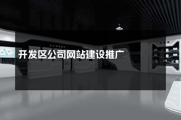 开发区公司网站建设推广