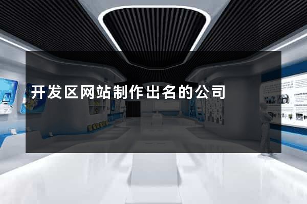 开发区网站制作出名的公司