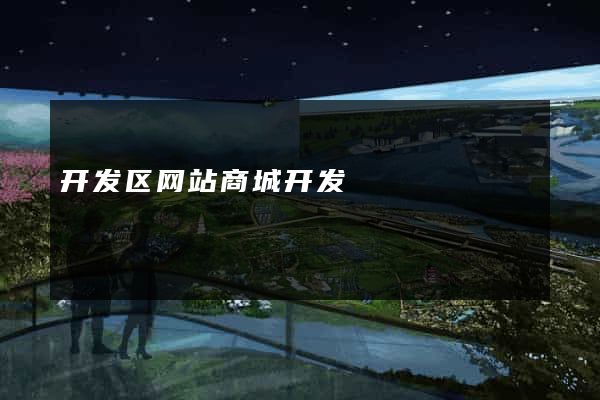 开发区网站商城开发