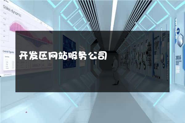 开发区网站服务公司