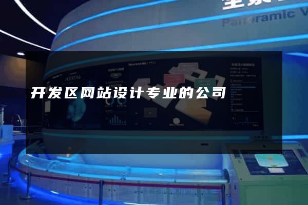 开发区网站设计专业的公司