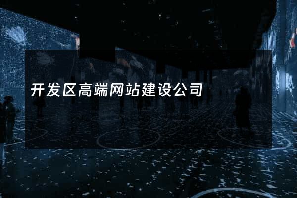 开发区高端网站建设公司
