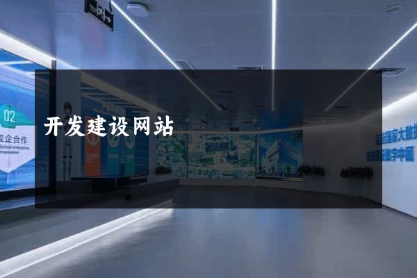 开发建设网站