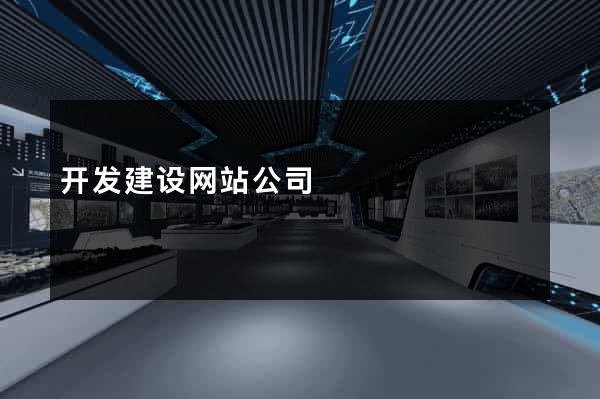 开发建设网站公司