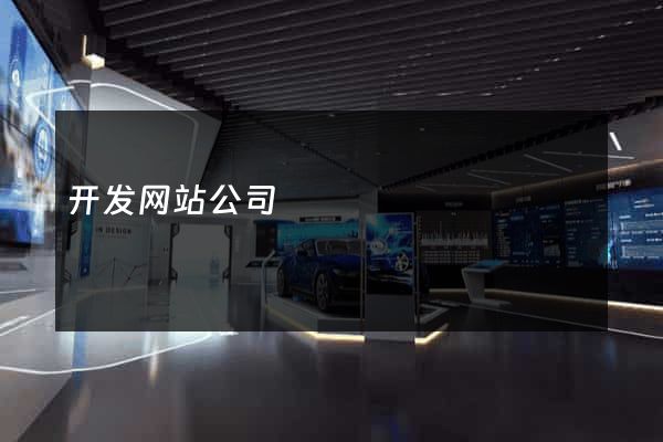 开发网站公司