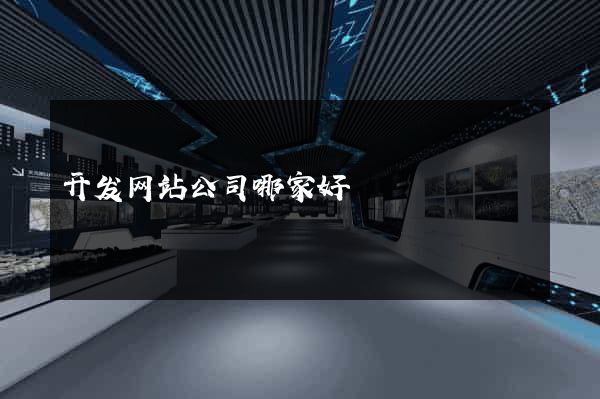 开发网站公司哪家好