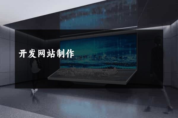 开发网站制作