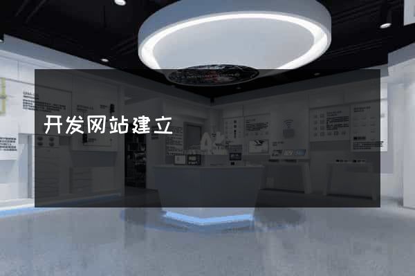 开发网站建立