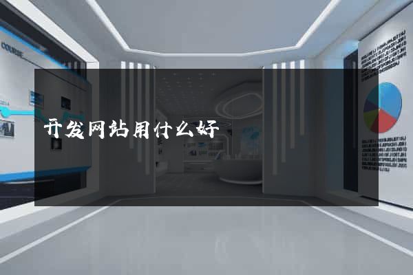 开发网站用什么好