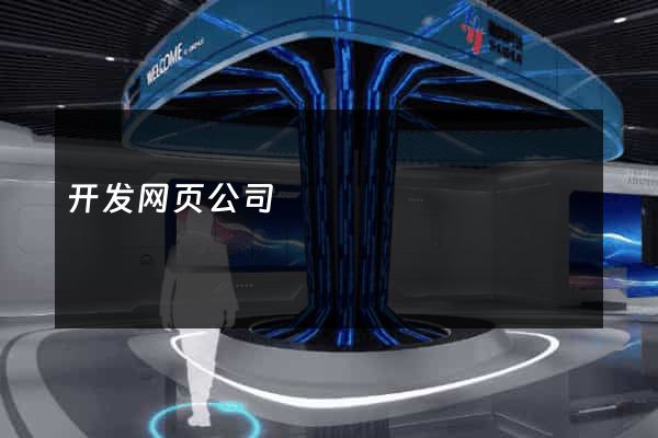 开发网页公司