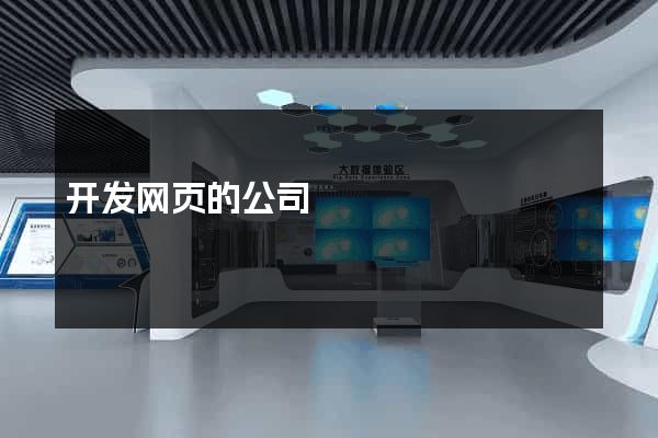 开发网页的公司