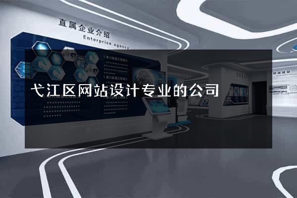 弋江区网站设计专业的公司