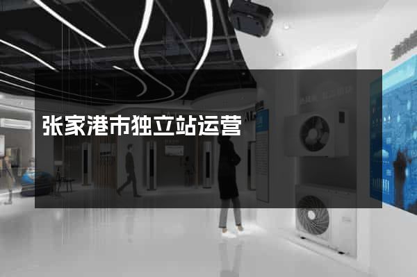 张家港市独立站运营
