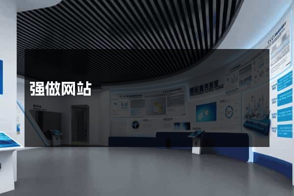 强做网站