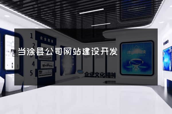 当涂县公司网站建设开发