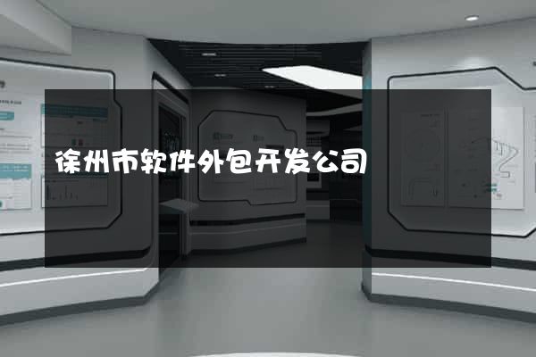 徐州市软件外包开发公司