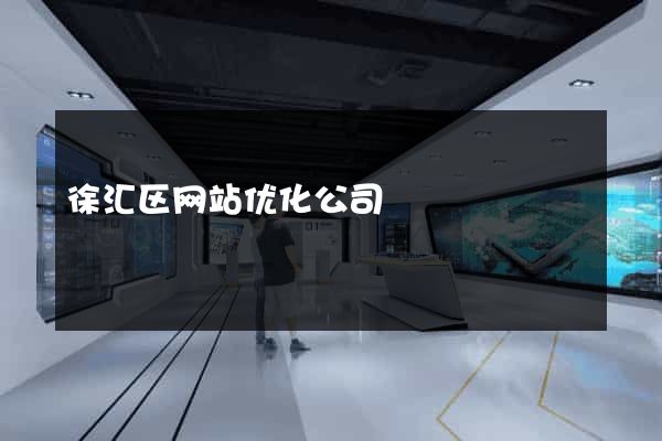 徐汇区网站优化公司