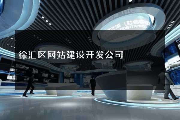 徐汇区网站建设开发公司