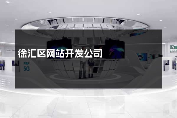徐汇区网站开发公司