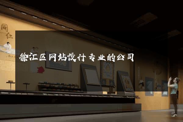 徐汇区网站设计专业的公司