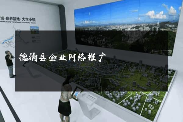 德清县企业网络推广