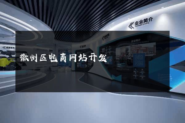 徽州区电商网站开发