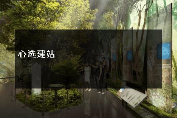 心选建站