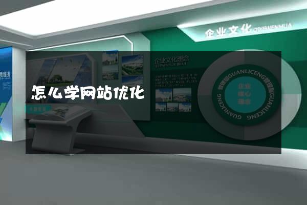 怎么学网站优化