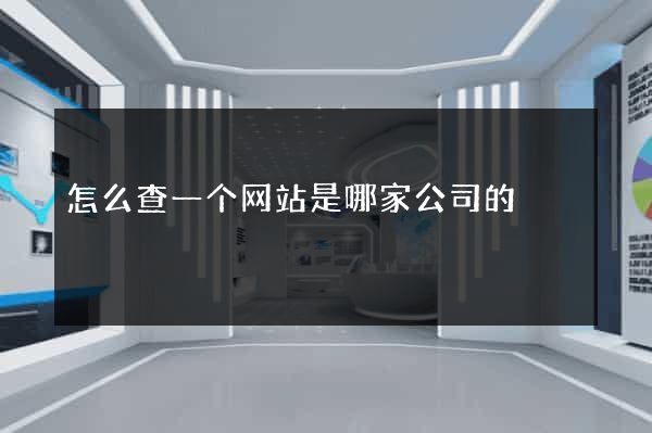 怎么查一个网站是哪家公司的