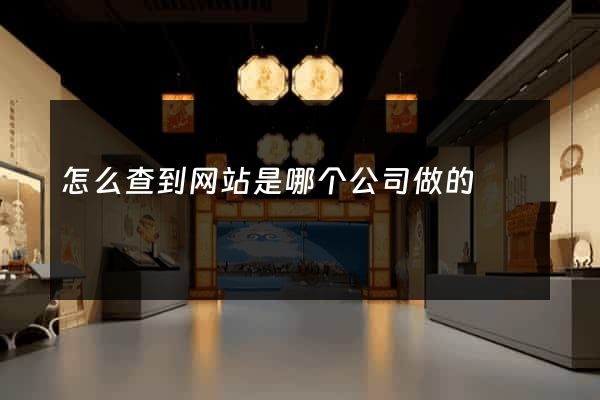 怎么查到网站是哪个公司做的
