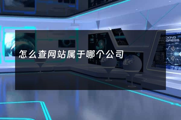 怎么查网站属于哪个公司