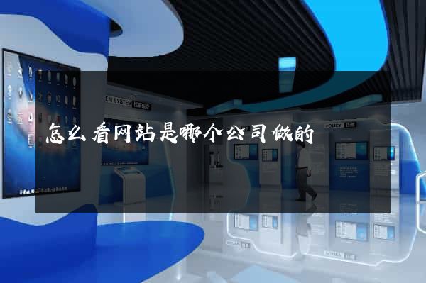 怎么看网站是哪个公司做的