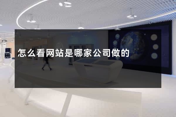 怎么看网站是哪家公司做的