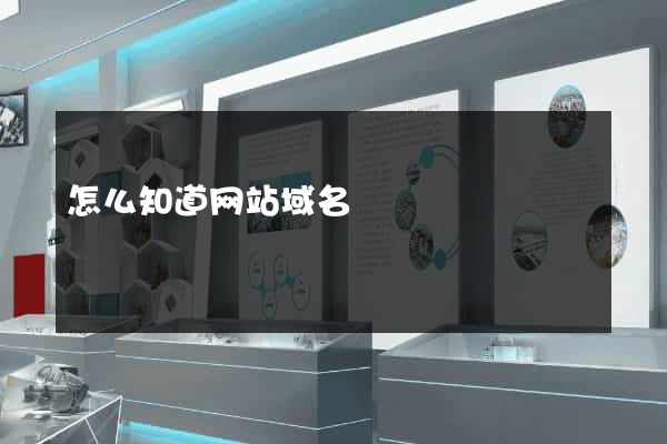 怎么知道网站域名