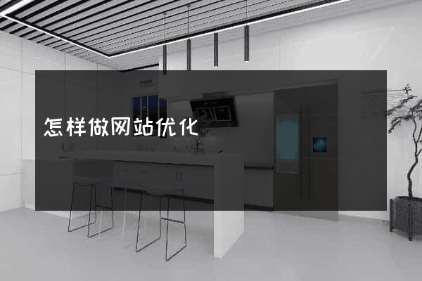 怎样做网站优化