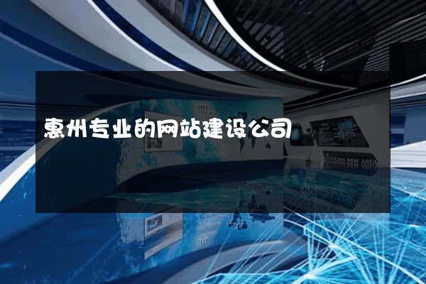 惠州专业的网站建设公司