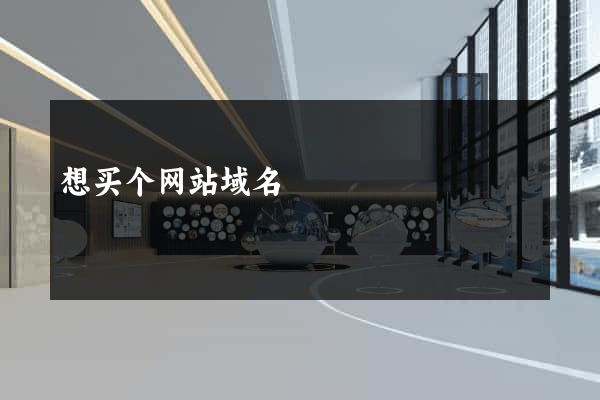 想买个网站域名