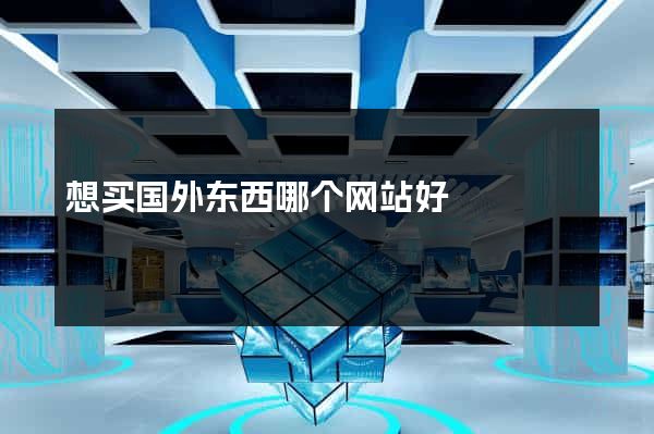 想买国外东西哪个网站好