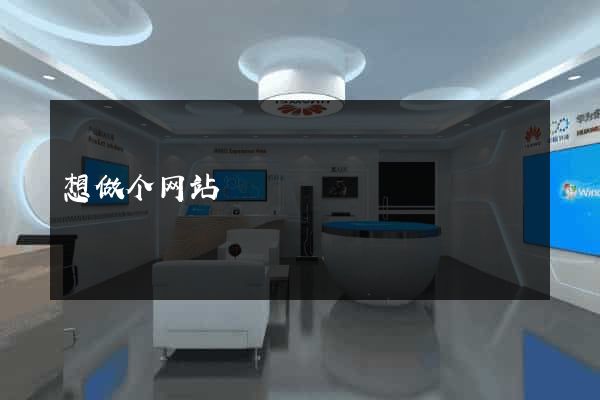想做个网站