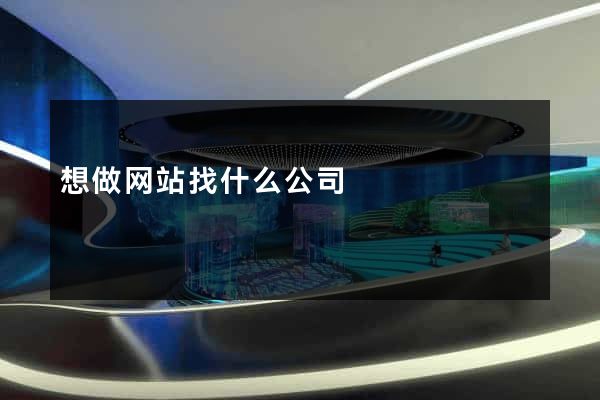 想做网站找什么公司
