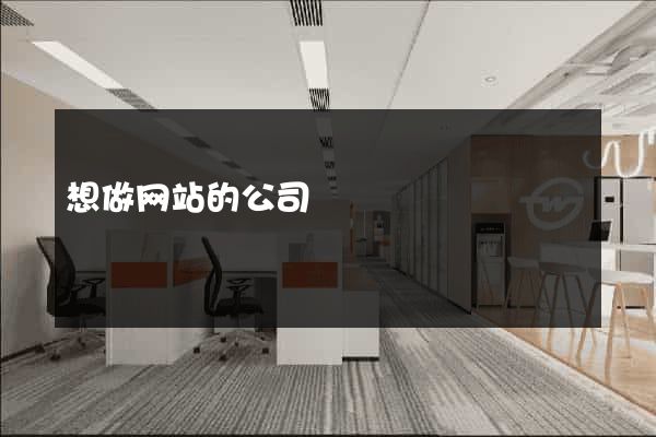 想做网站的公司